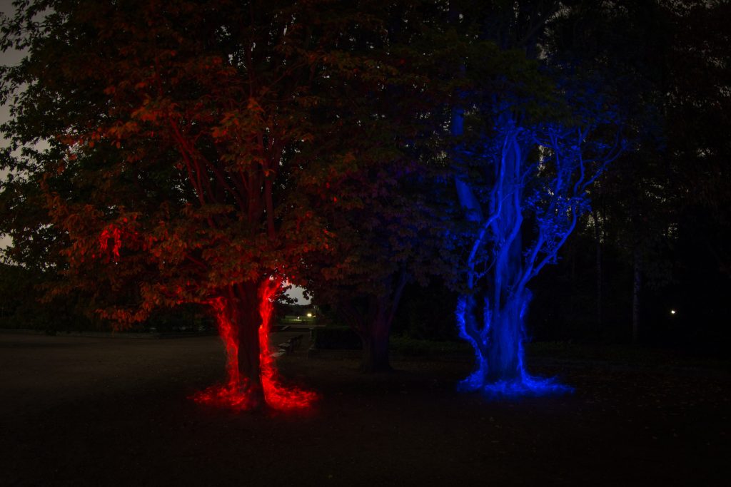 Glowing trees