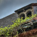 Plants collapse the roof of a Beelitz hospital building